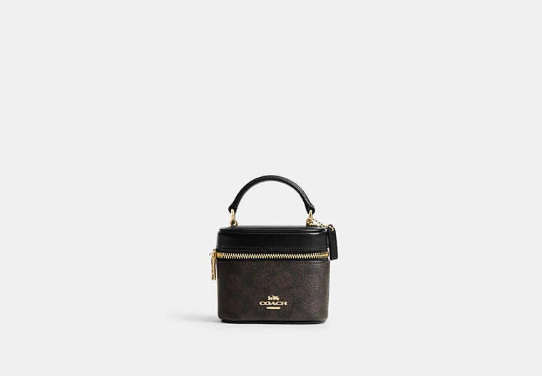 Mini Vanity Box Crossbody – Monogram Brown, Top Handle & Gold Chain