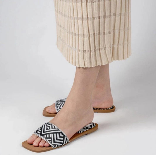 Zara Zebra Flats