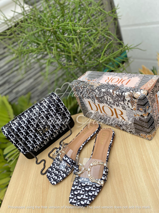 Dior Crystal Oblique – Bag & Slide Combo
