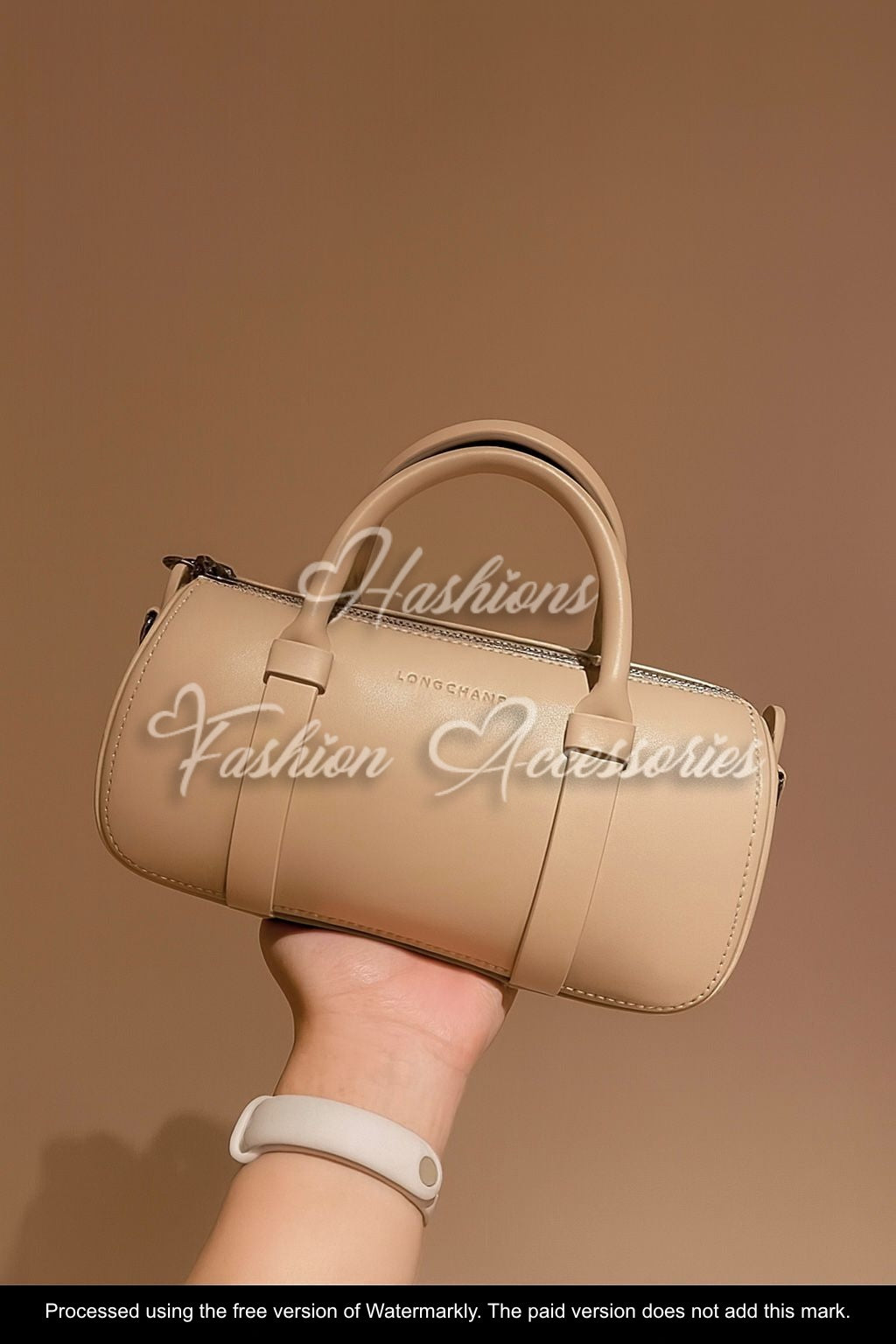 Long Champ Daylong Bag