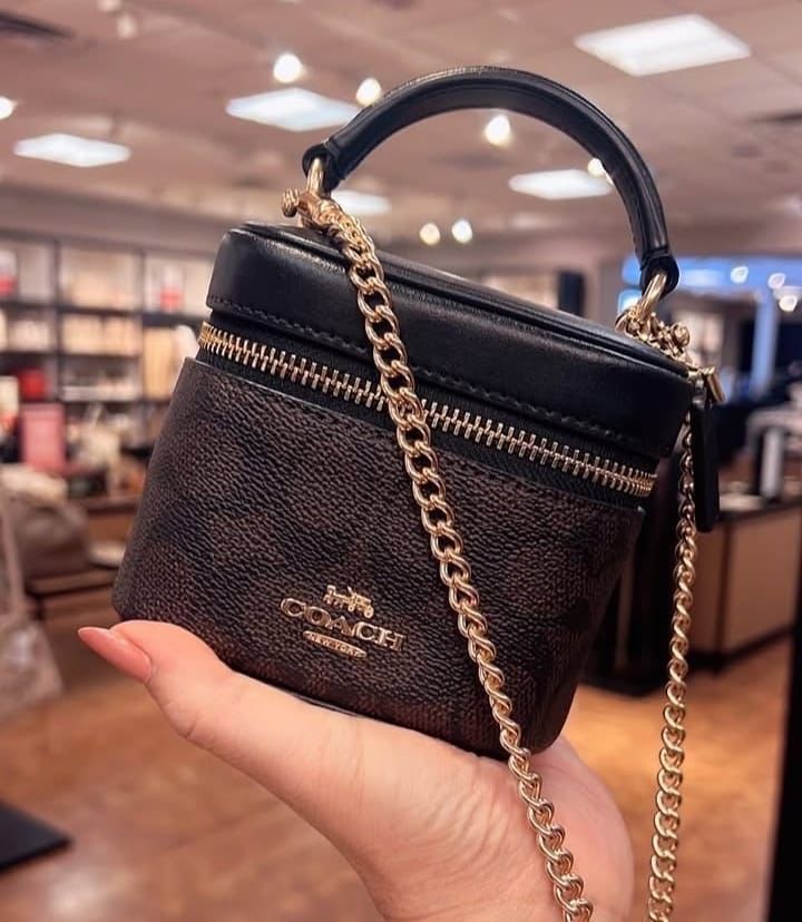 Mini Vanity Box Crossbody – Monogram Brown, Top Handle & Gold Chain