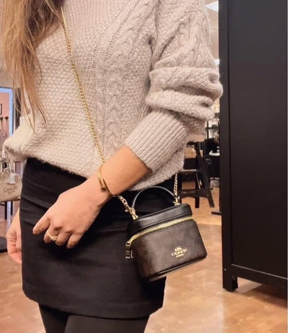 Mini Vanity Box Crossbody – Monogram Brown, Top Handle & Gold Chain