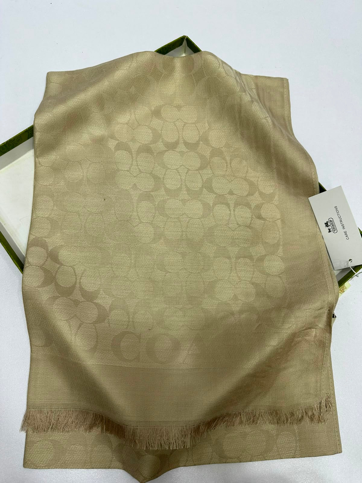 Monogram Pashmina Scarf