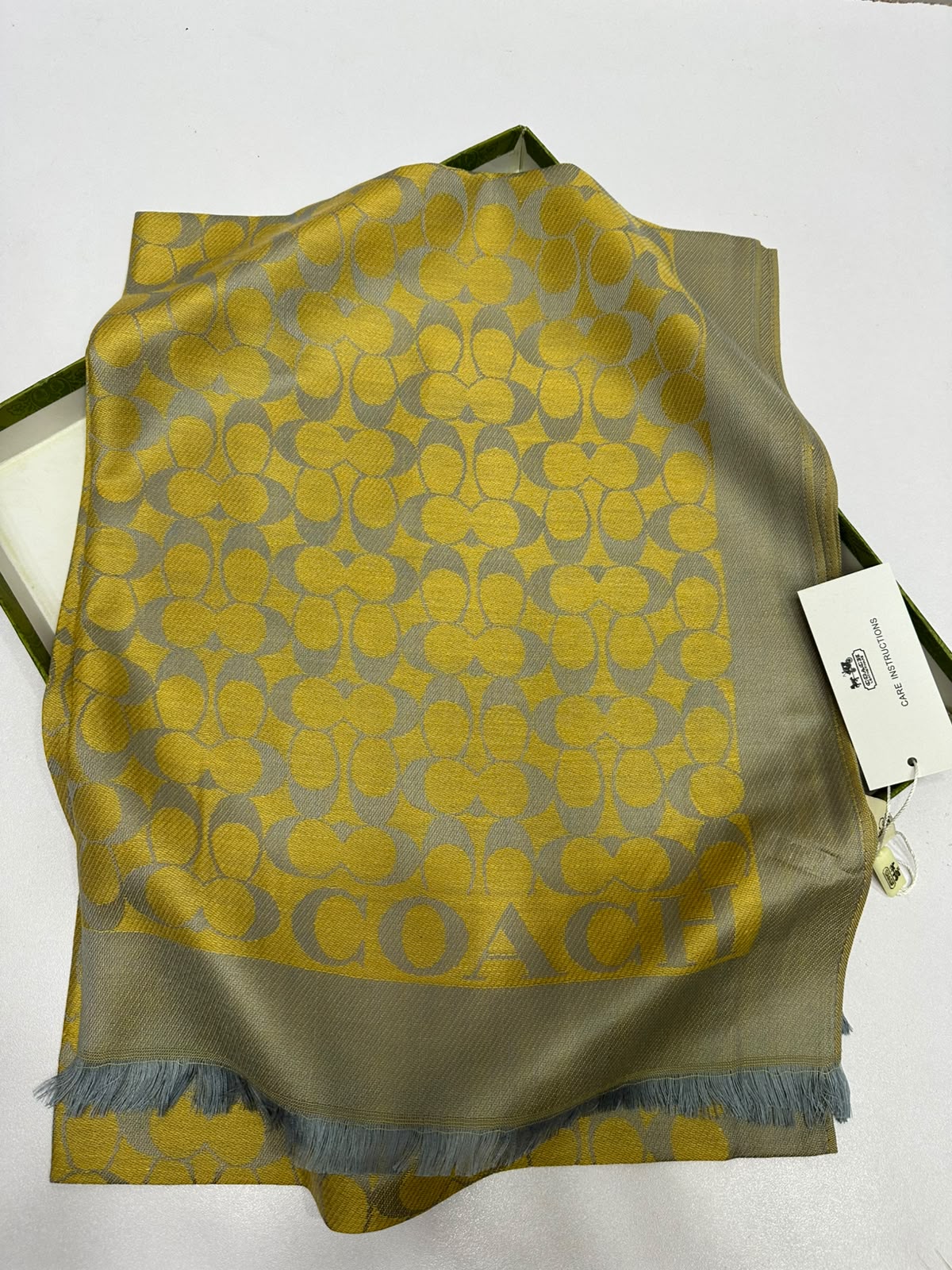Monogram Pashmina Scarf