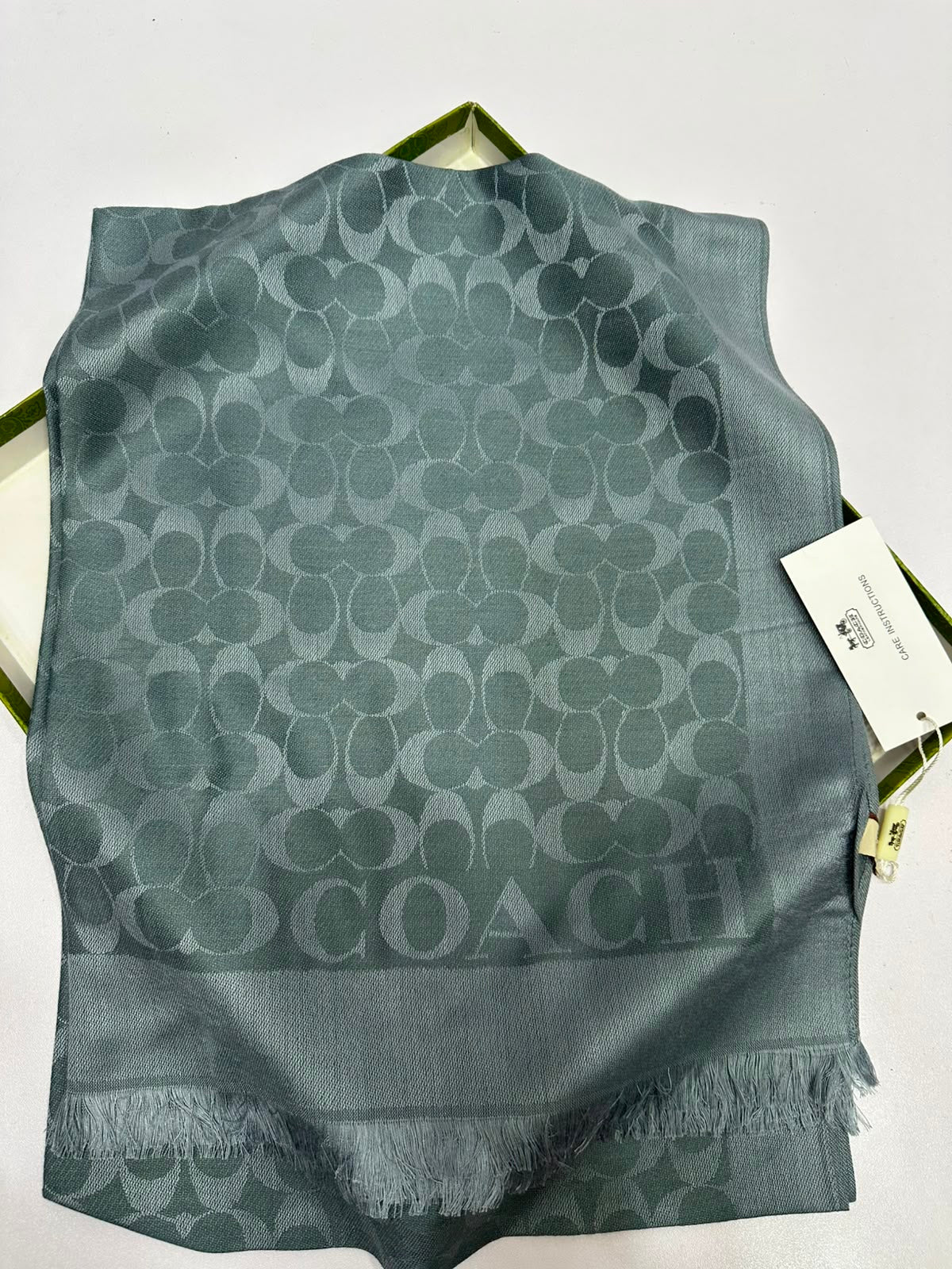 Monogram Pashmina Scarf