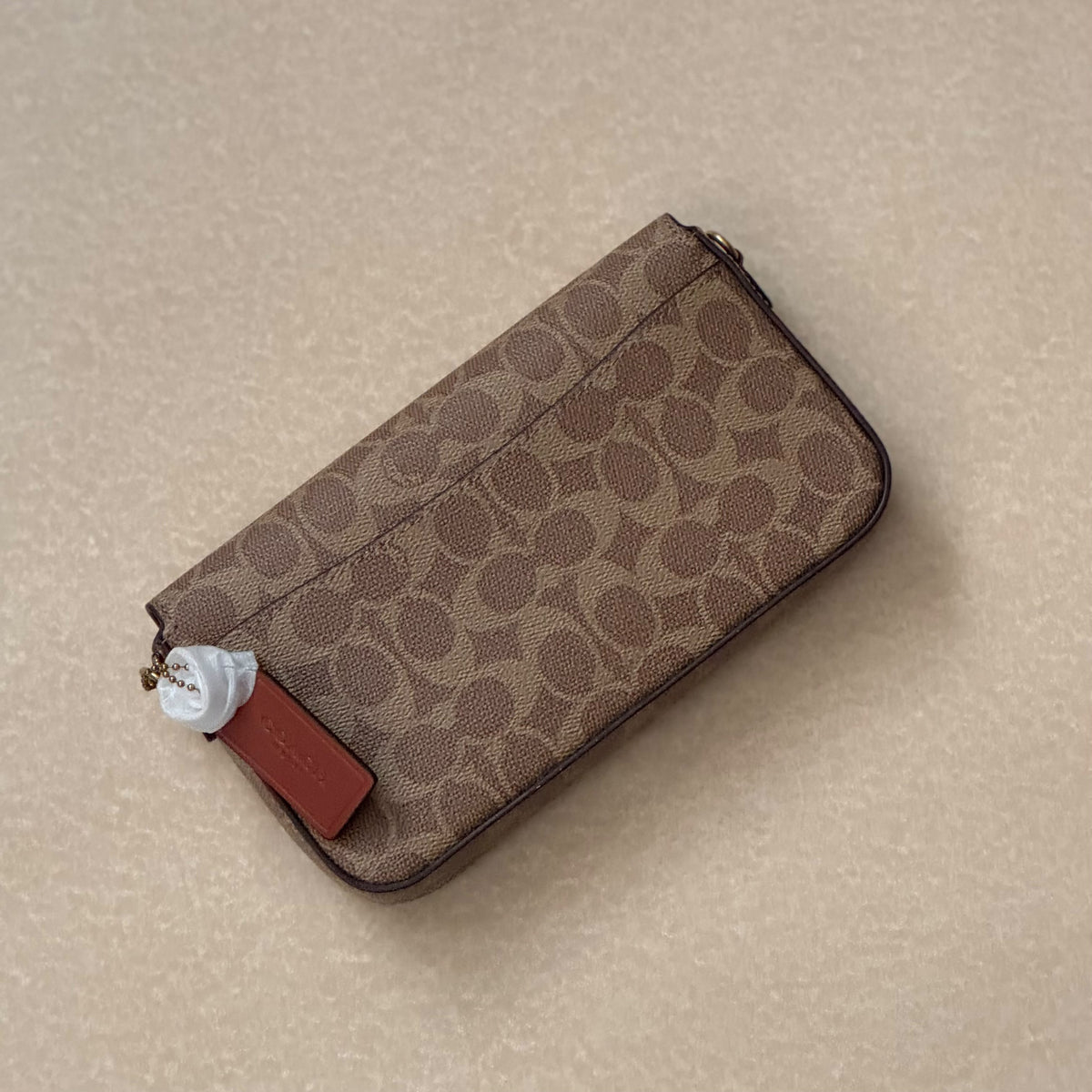 Chain Wallet Crossbody Bag