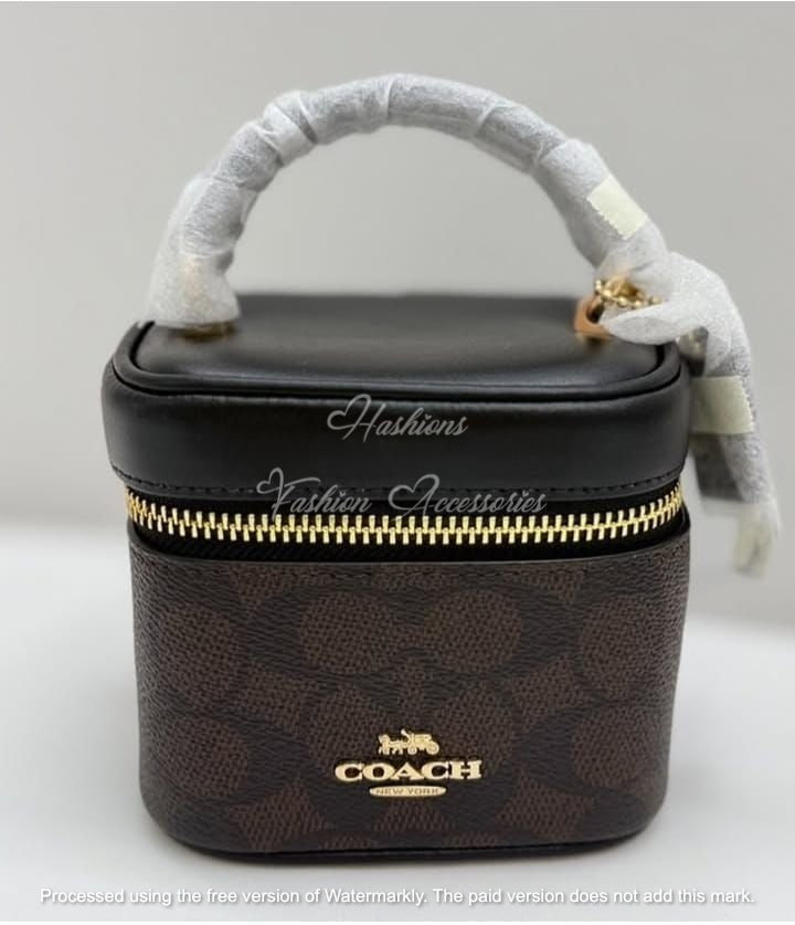 Mini Vanity Box Crossbody – Monogram Brown, Top Handle & Gold Chain